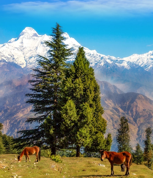 Uttarakhand Family Tour Packages